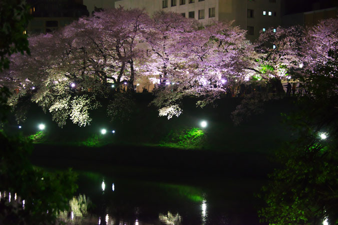 a0263109_11263342.jpg