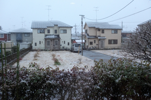 c0211309_8292962.jpg