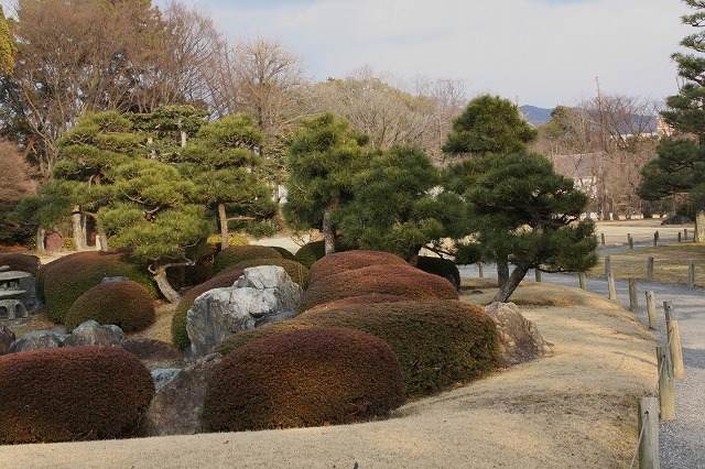 京の旅　世界遺産・二条城　その3_d0154609_16111733.jpg