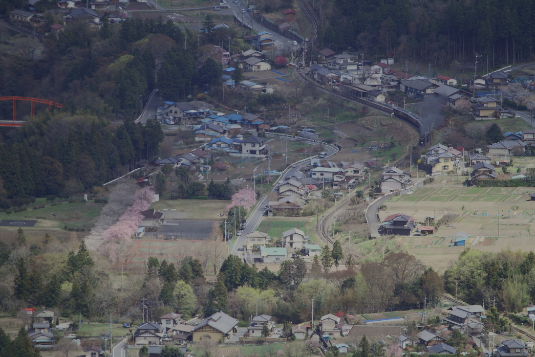 奥秩父は花の季節　- 2013年・秩父 -  _b0190710_21252815.jpg