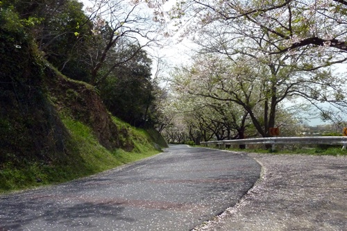 d0025414_1251869.jpg