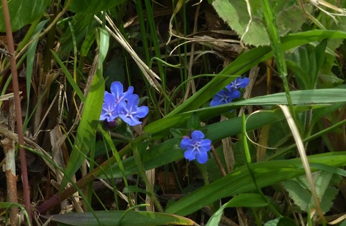 d0025414_1311761.jpg