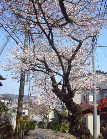 e0099614_2124872.jpg