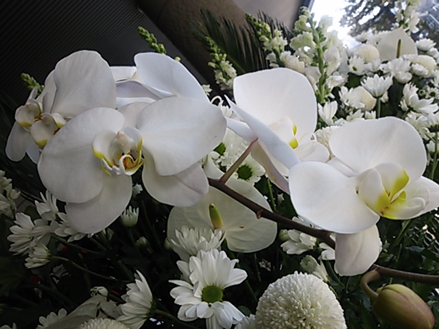 a0275715_2022348.jpg