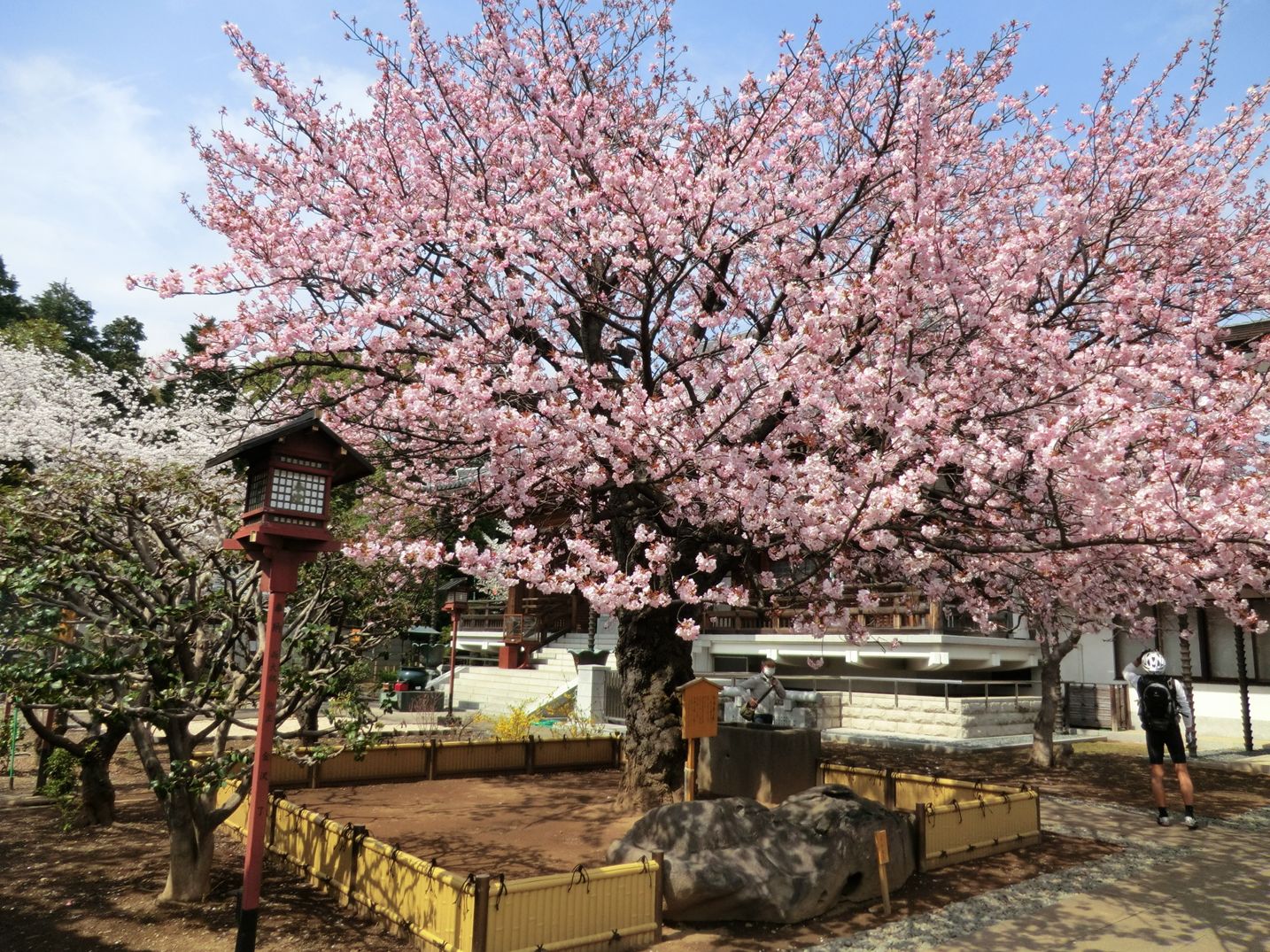 上野動物園_f0186021_13301761.jpg