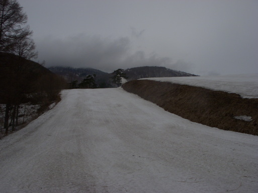 e0109622_16205497.jpg