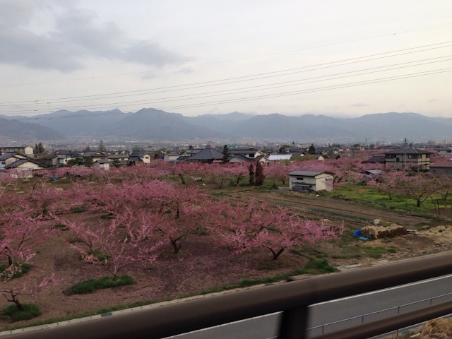 b0249826_0353480.jpg