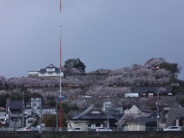 鶴山公園で花見を楽しむ_d0030026_22455152.jpg