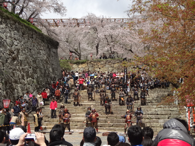 鶴山公園で花見を楽しむ_d0030026_22521297.jpg