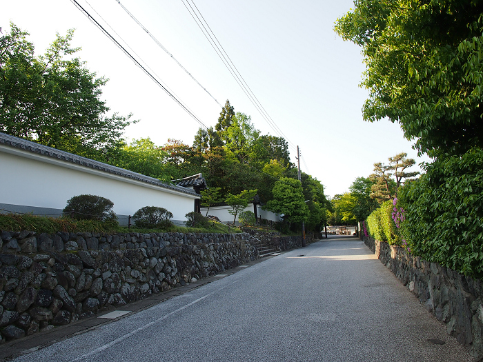 新緑の東福寺 －臥雲橋－_b0169330_10531865.jpg