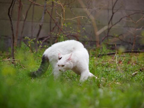 c0229234_205191.jpg