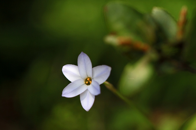 a0242438_7104089.jpg