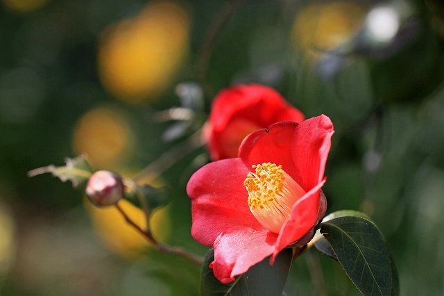 a0242438_7111914.jpg