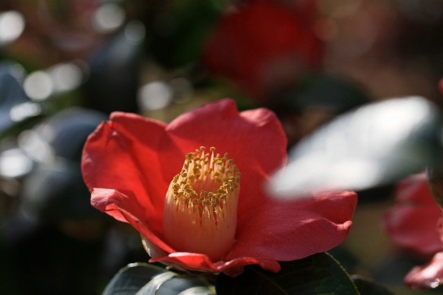 a0242438_791615.jpg