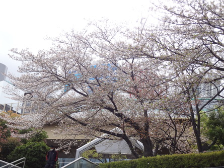 f0040342_23452241.jpg