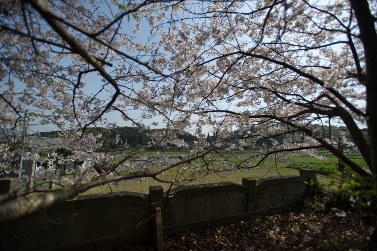 ◆村社八幡宮・竹重宮　福岡県宗像市_b0023047_1383266.jpg