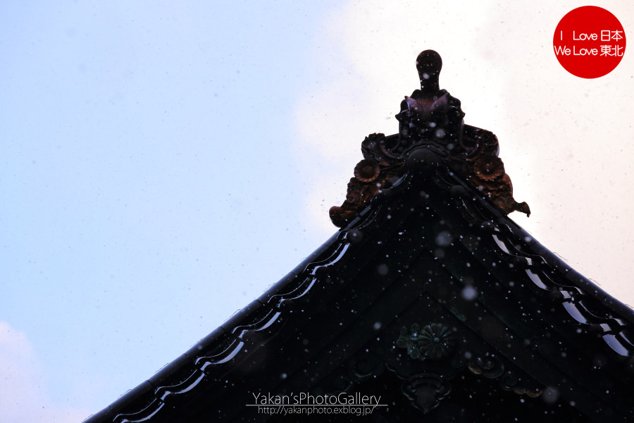 TPLゆる散歩撮影 -新湊・内川- 05 放生津八幡宮 雪と鬼面鬼瓦(赤瓦)_b0157849_1641274.jpg