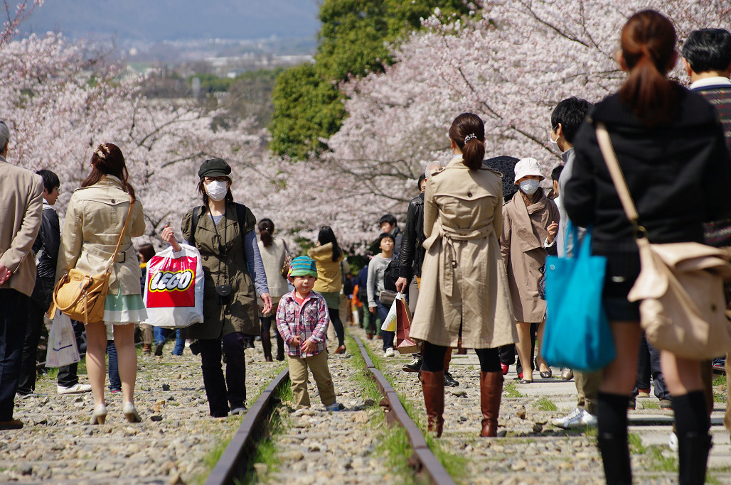 桜　～蹴上 インクライン～_f0152550_18495191.jpg