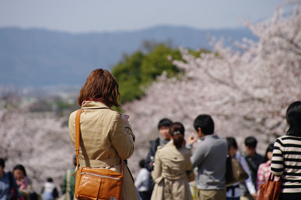 桜　～蹴上 インクライン～_f0152550_18495790.jpg