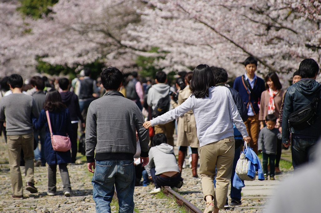 桜　～蹴上 インクライン～_f0152550_18501247.jpg