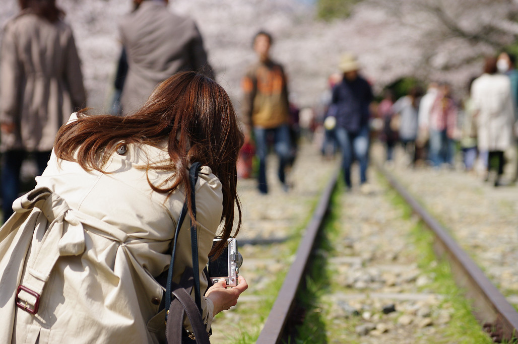 桜　～蹴上 インクライン～_f0152550_18504189.jpg