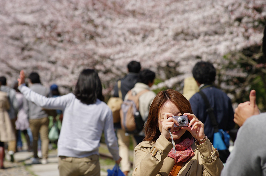 桜　～蹴上 インクライン～_f0152550_1850777.jpg