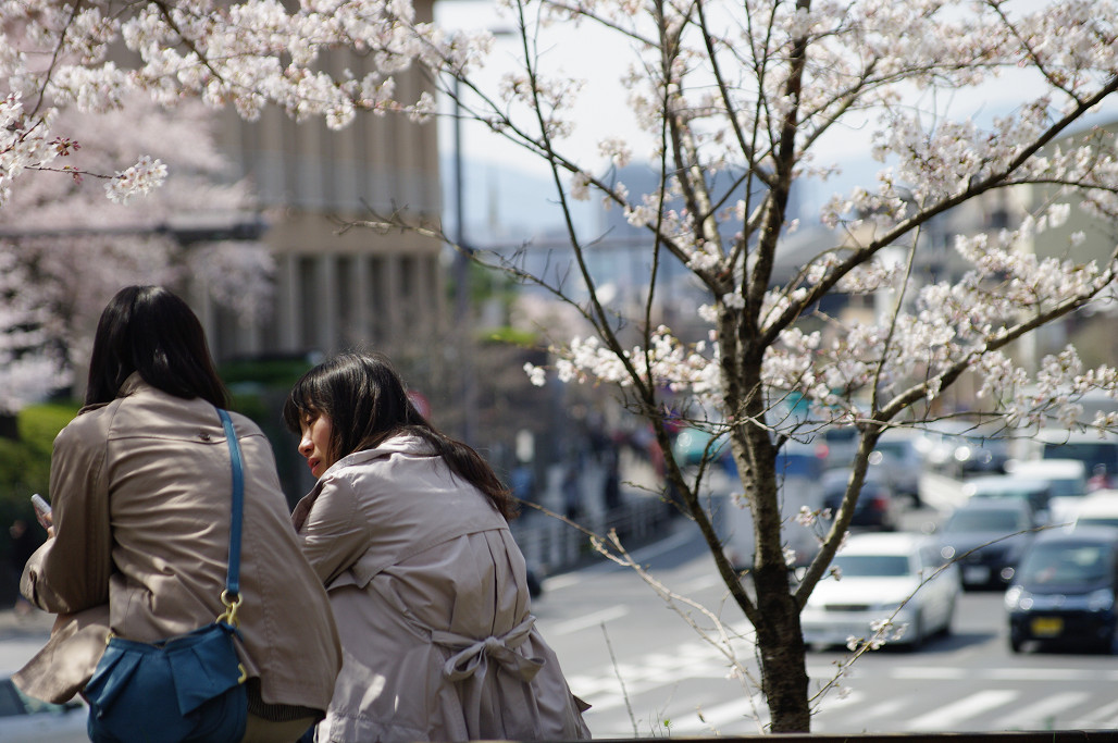 桜　～蹴上 インクライン～_f0152550_18512539.jpg