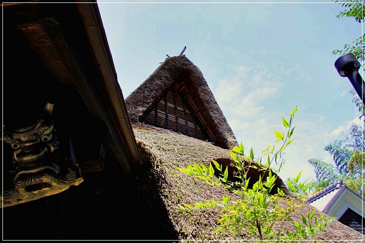 c0188951_7574049.jpg