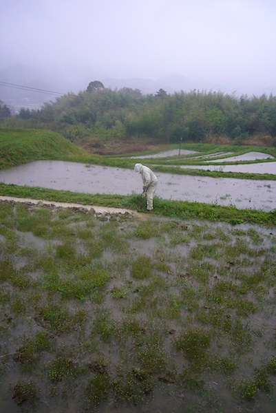 雨の日に、祝！初脱輪（4月2日）_f0141559_1951217.jpg