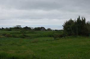 f0186462_0295222.jpg