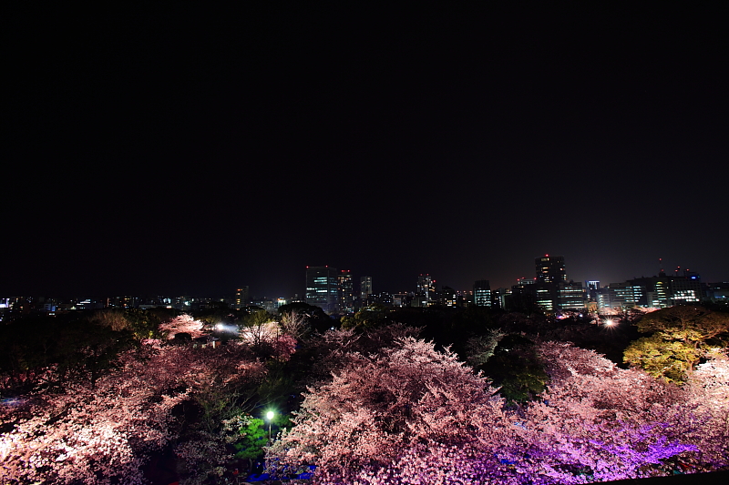  福岡城さくらまつり　Light Up_e0184970_1757879.jpg