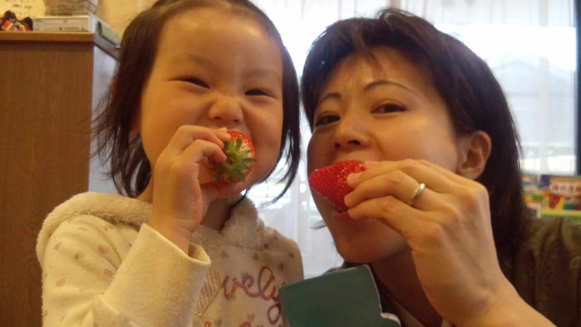 いとこにはとこ?大集合!!_a0200771_17122919.jpg