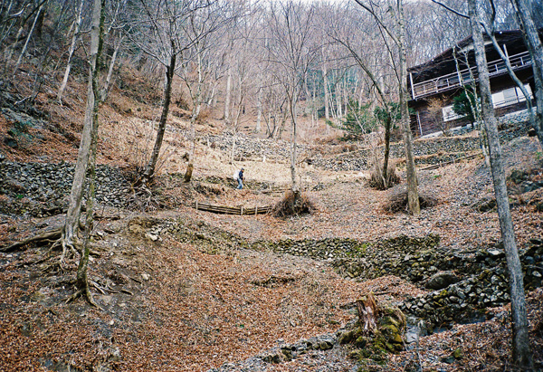 三条の湯(後半)_a0207672_04741.jpg