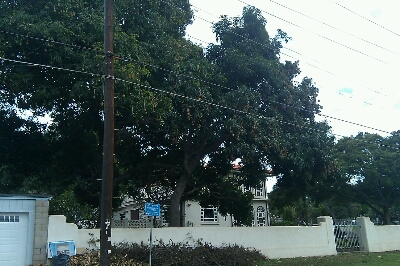 d0053080_71973.jpg