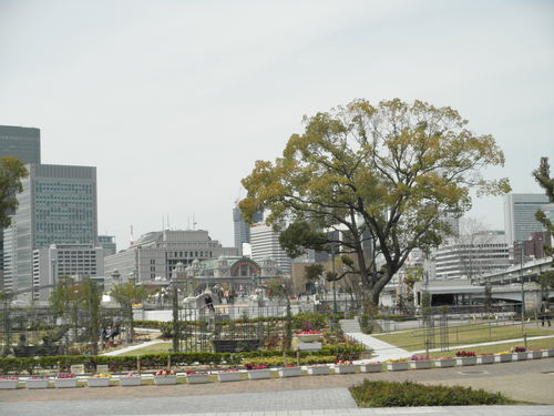 a0212182_23261636.jpg