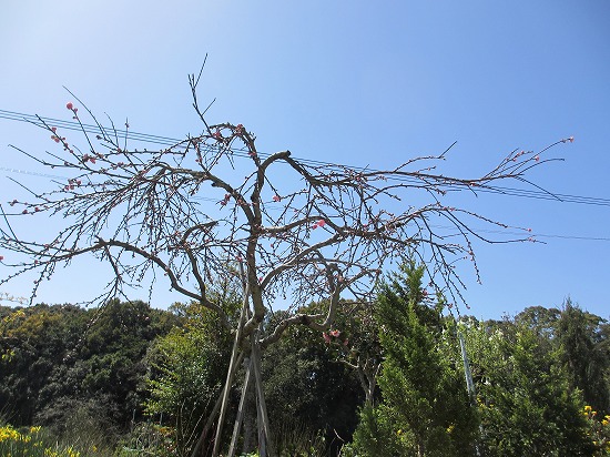 b0182884_14455251.jpg