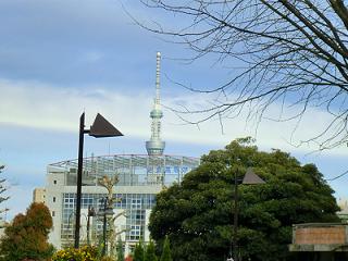 e0023790_20384777.jpg