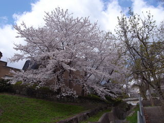 a0137192_1048121.jpg