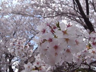 a0137192_10482072.jpg