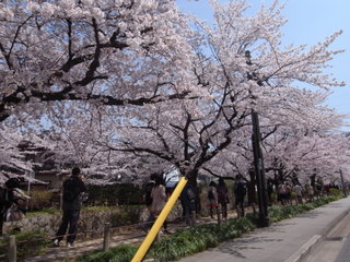 a0137192_11172556.jpg