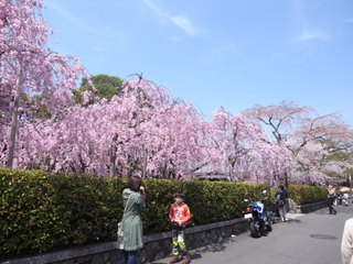 a0137192_11222954.jpg