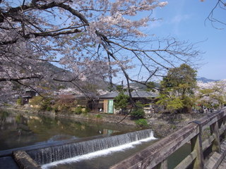 a0137192_117168.jpg