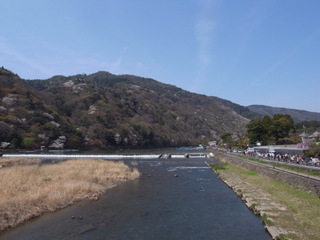 a0137192_1172257.jpg