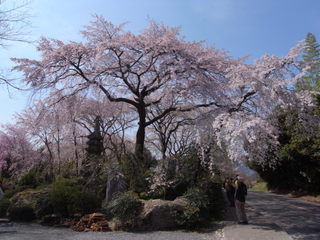 a0137192_1185559.jpg