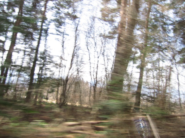 d0040395_15414311.jpg