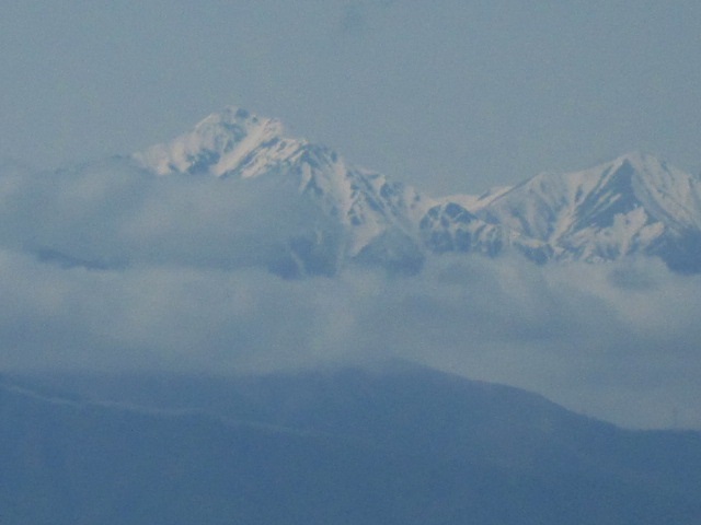 d0040395_1542035.jpg