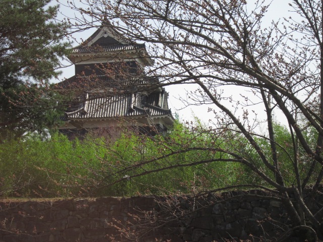 d0040395_15423775.jpg