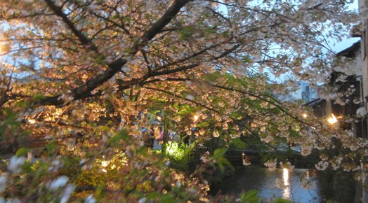 a0236300_23404627.jpg
