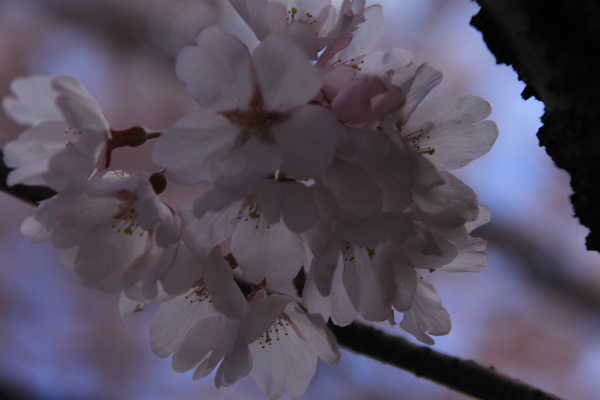 f0227200_2147764.jpg