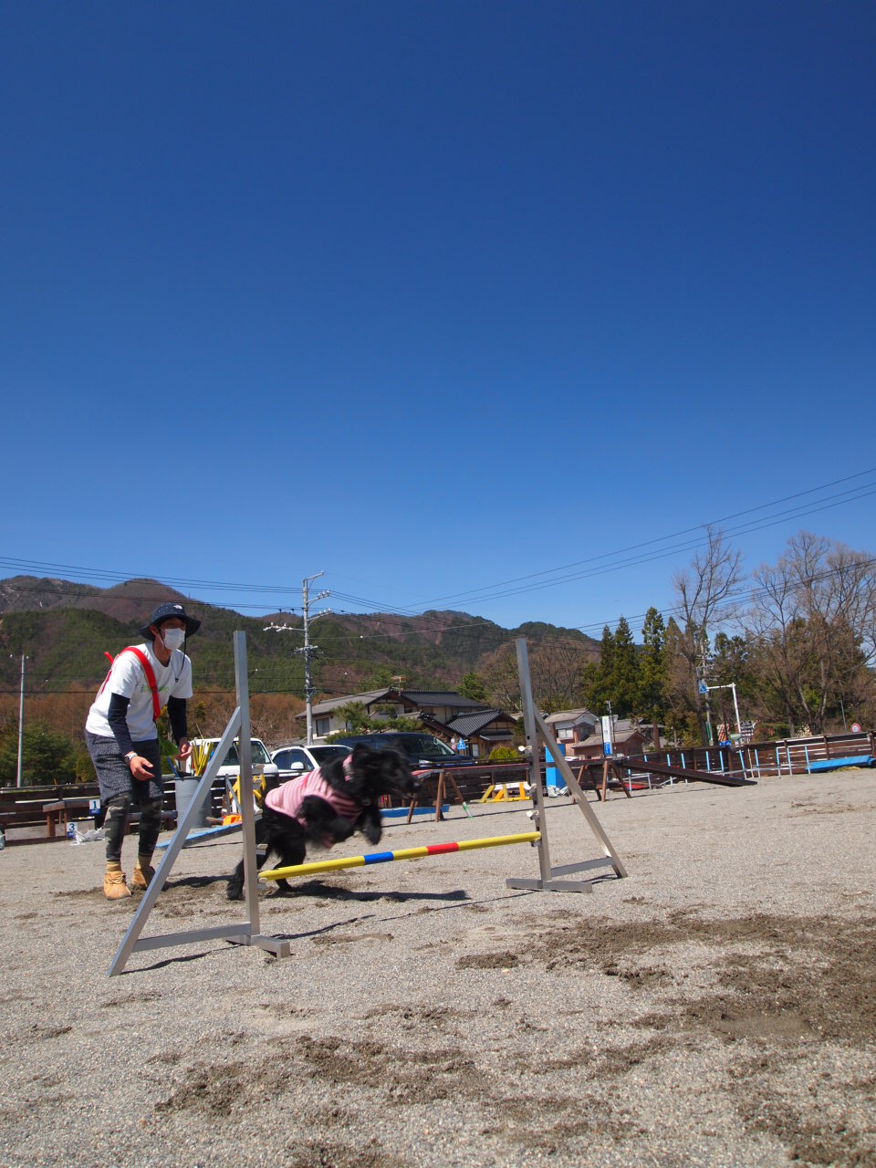 d0174502_2246015.jpg